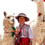 Children's Latin American History Book by Children's Press-0