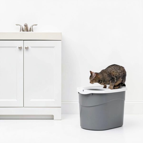 IRIS USA Top Entry Cat Litter Box White Scoop Rectangular Made in USA-8