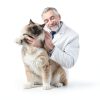 Purina Tidy Cats Breeze Covered Cat Litter Box System Kit with Pellet Cat Litter, Hooded Litter Box, and Litter Box Pads-9