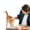 Purina Tidy Cats Breeze Covered Cat Litter Box System Kit with Pellet Cat Litter, Hooded Litter Box, and Litter Box Pads-7