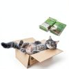 Purina Tidy Cats Breeze Covered Cat Litter Box System Kit with Pellet Cat Litter, Hooded Litter Box, and Litter Box Pads-10
