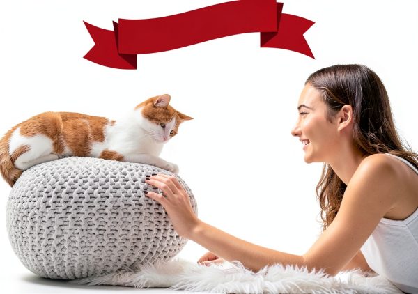 Nature’s Miracle Hooded Flip Top Litter Box for Cats, With Built-In Odor Control Charcoal Filter-7
