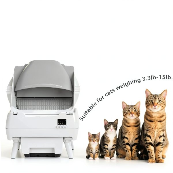 Automatic Cat Litter Box Self Cleaning - App Control, Open-Design, Smart Health Monitor, Suitable for Medium Cats and Kittens, Anti-Pinch Safety, Quiet Operation, A Trusted Companion for Life - White-1
